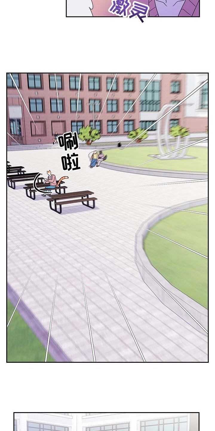 第40章：重新回到平静的生活