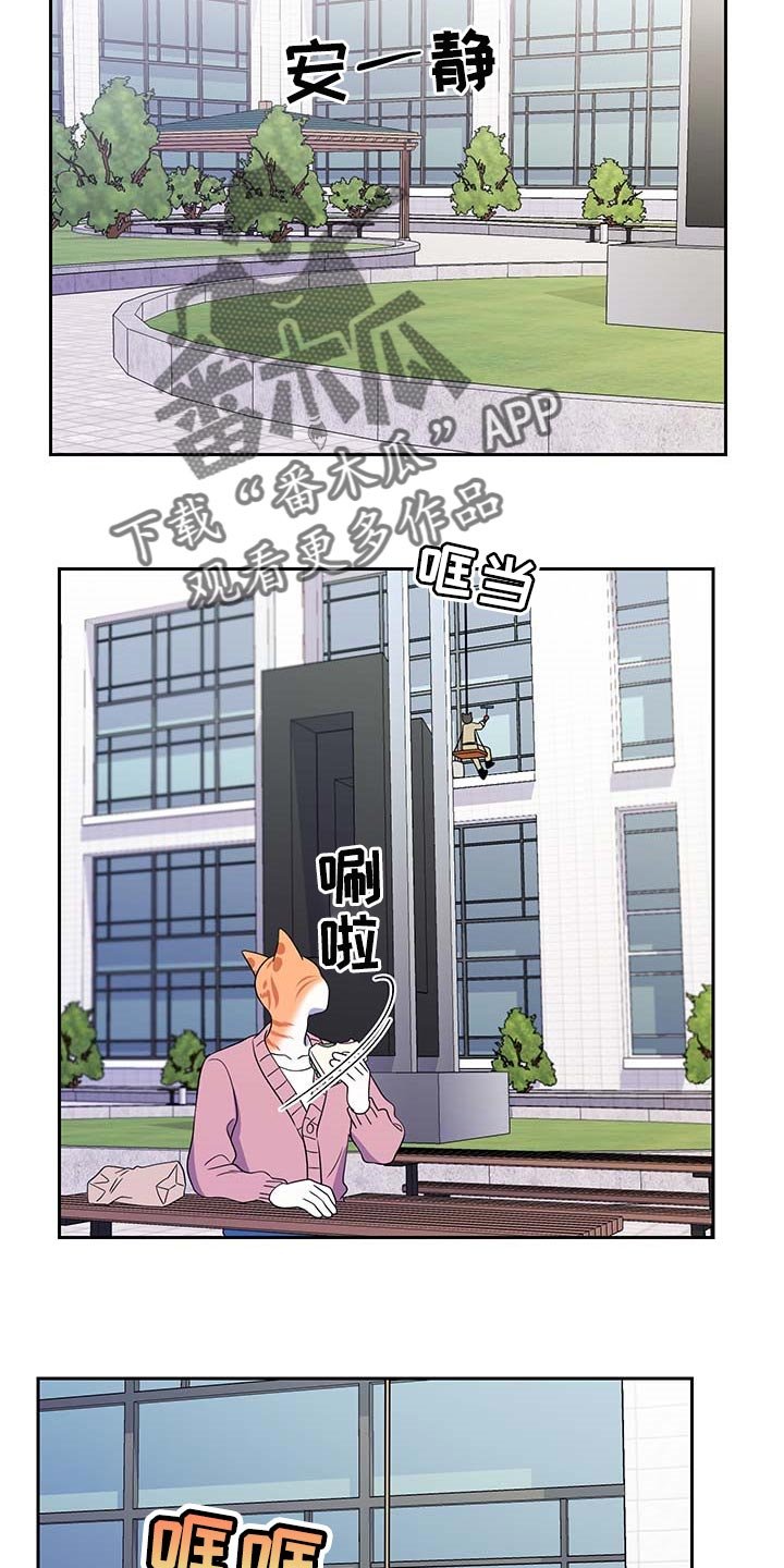 第40章：重新回到平静的生活