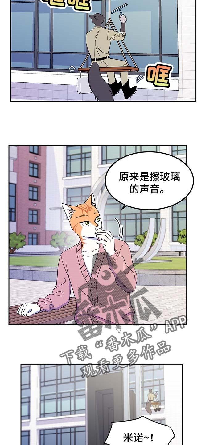 第40章：重新回到平静的生活