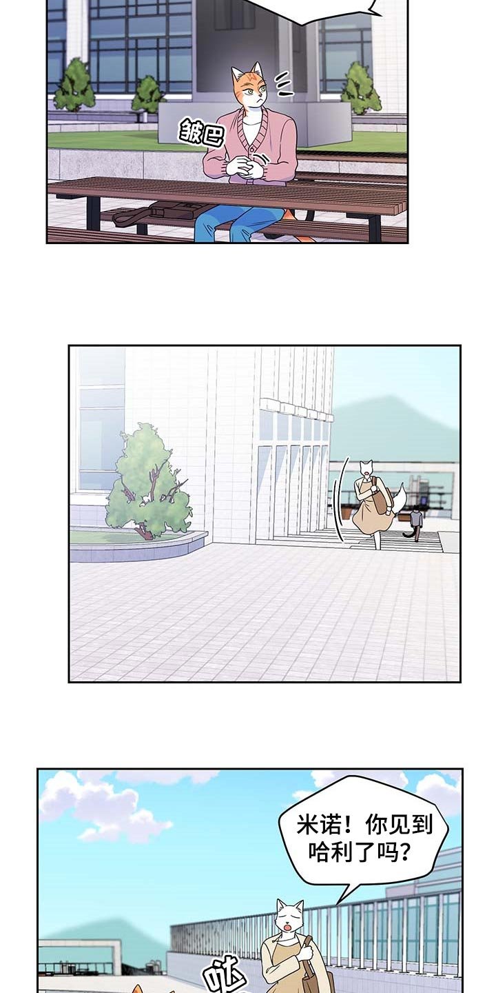 第40章：重新回到平静的生活