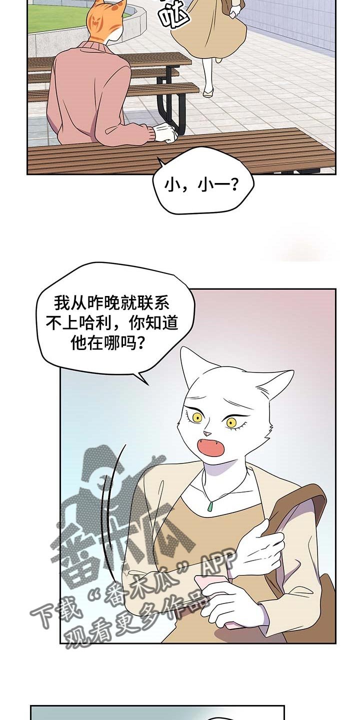 第40章：重新回到平静的生活