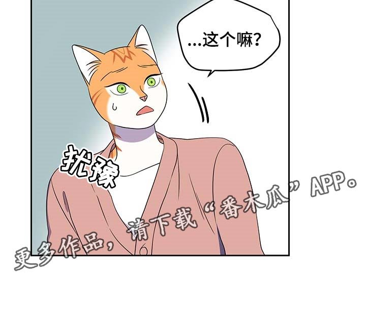 第40章：重新回到平静的生活