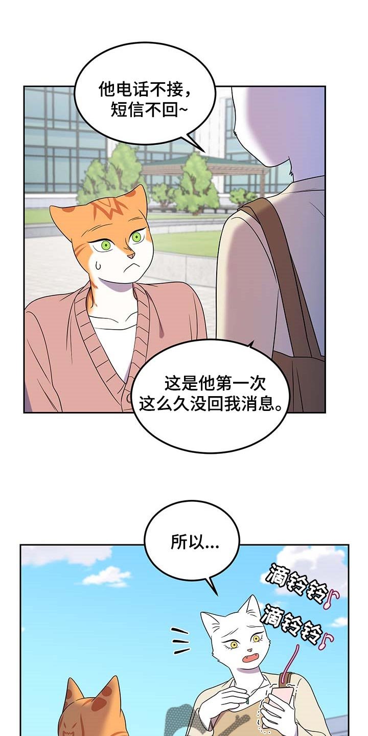 第41章：联系方式