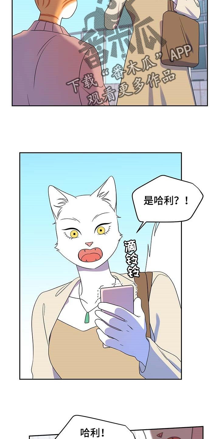 第41章：联系方式