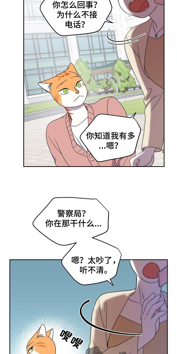 第41章：联系方式