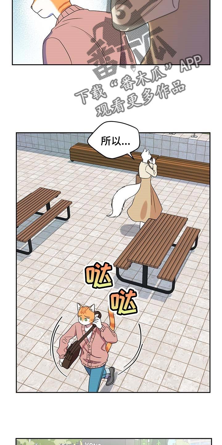 第41章：联系方式