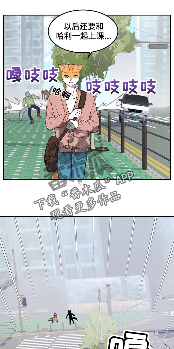 第41章：联系方式