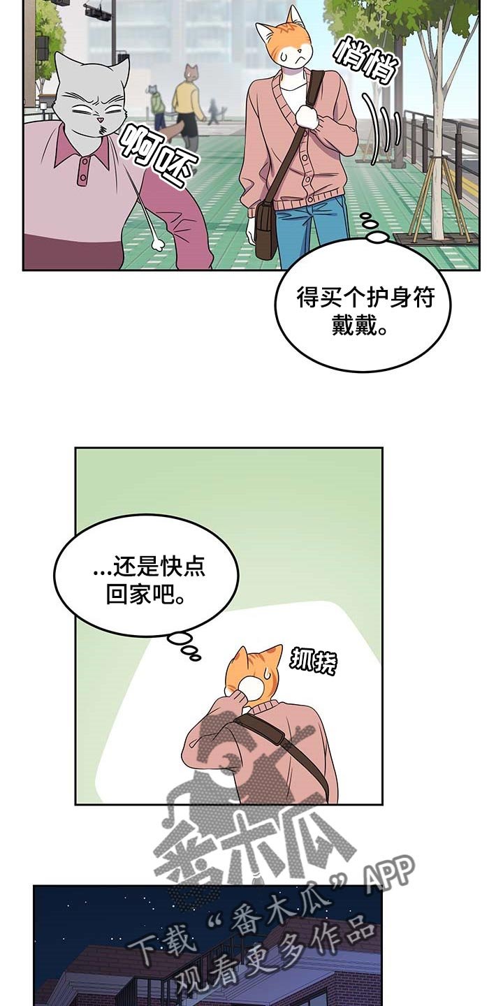 第41章：联系方式