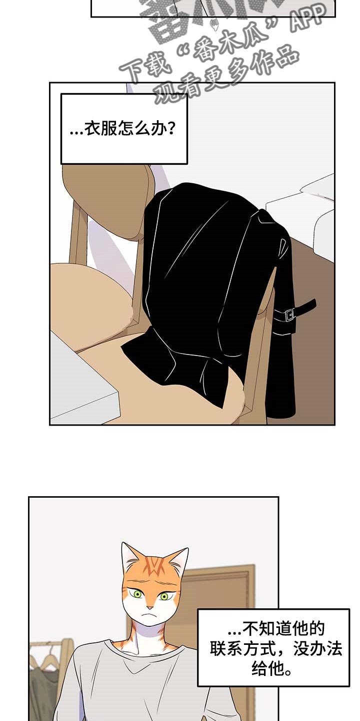 第41章：联系方式