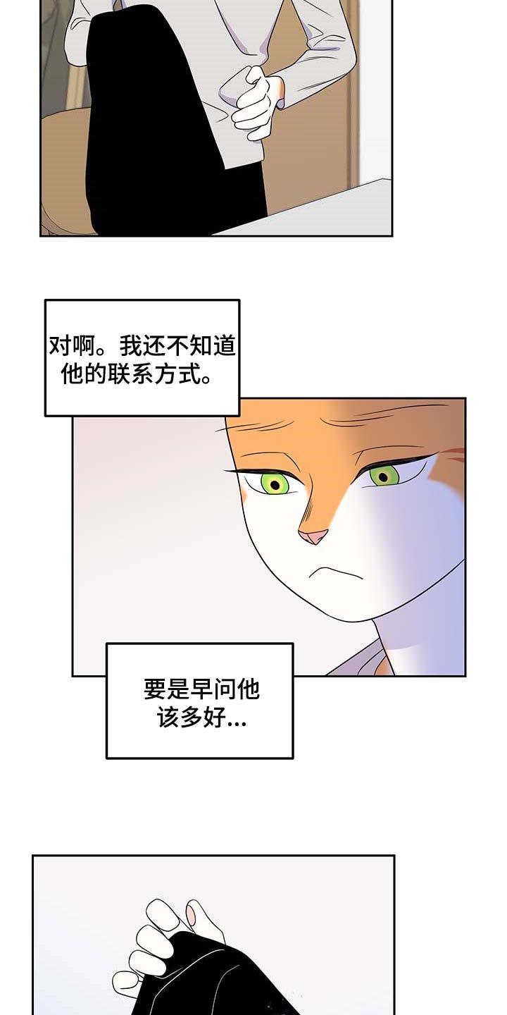 第41章：联系方式