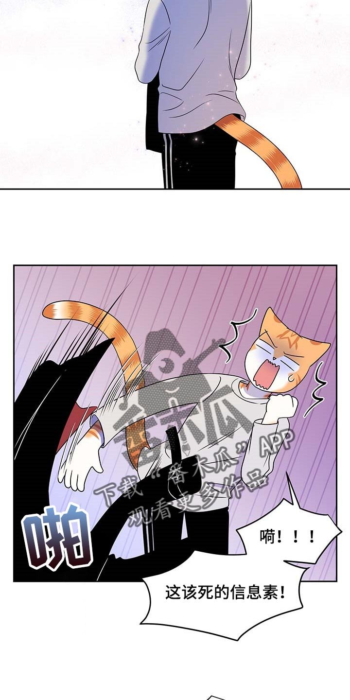 第41章：联系方式