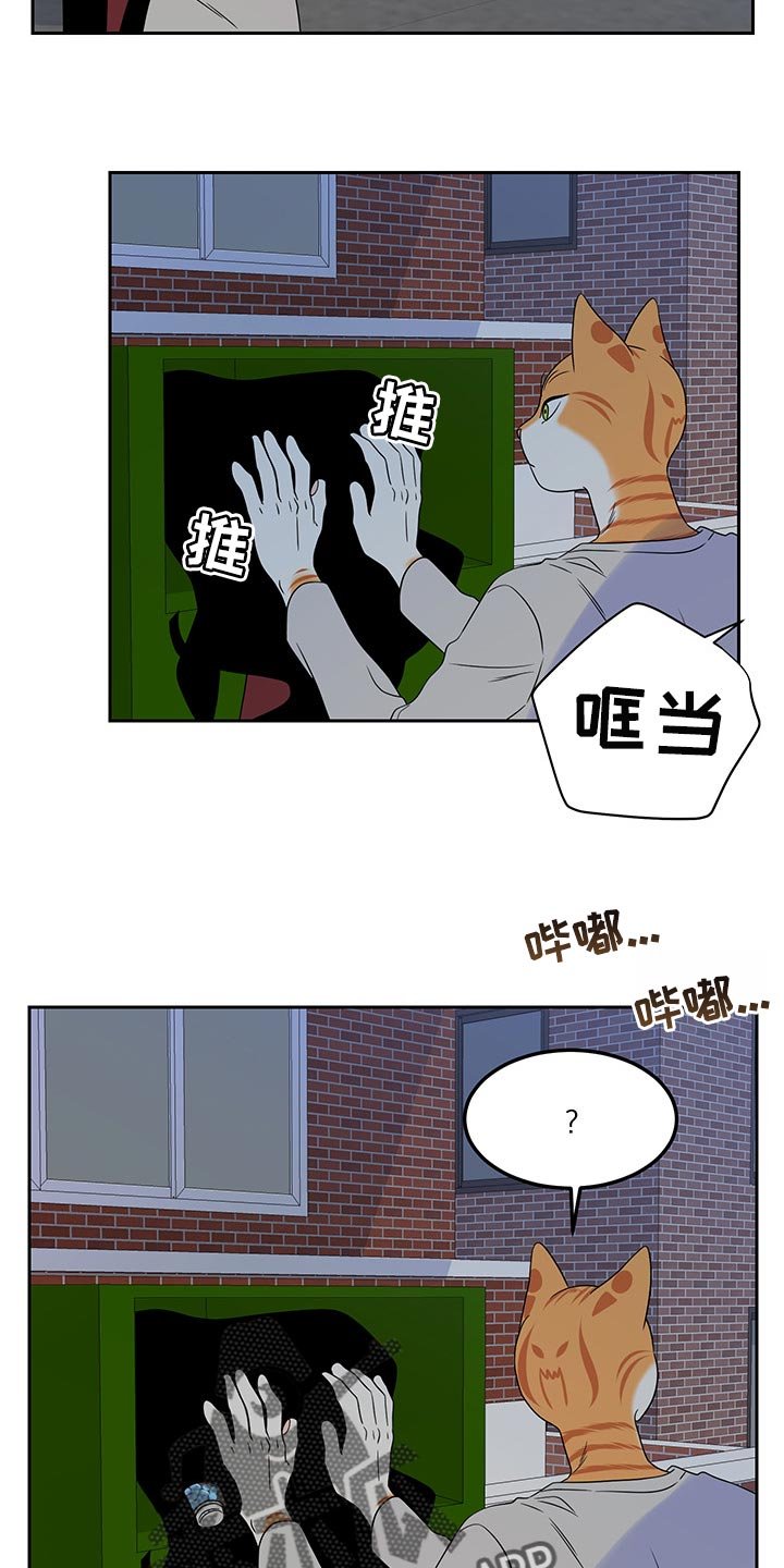 第42章：世道不太平