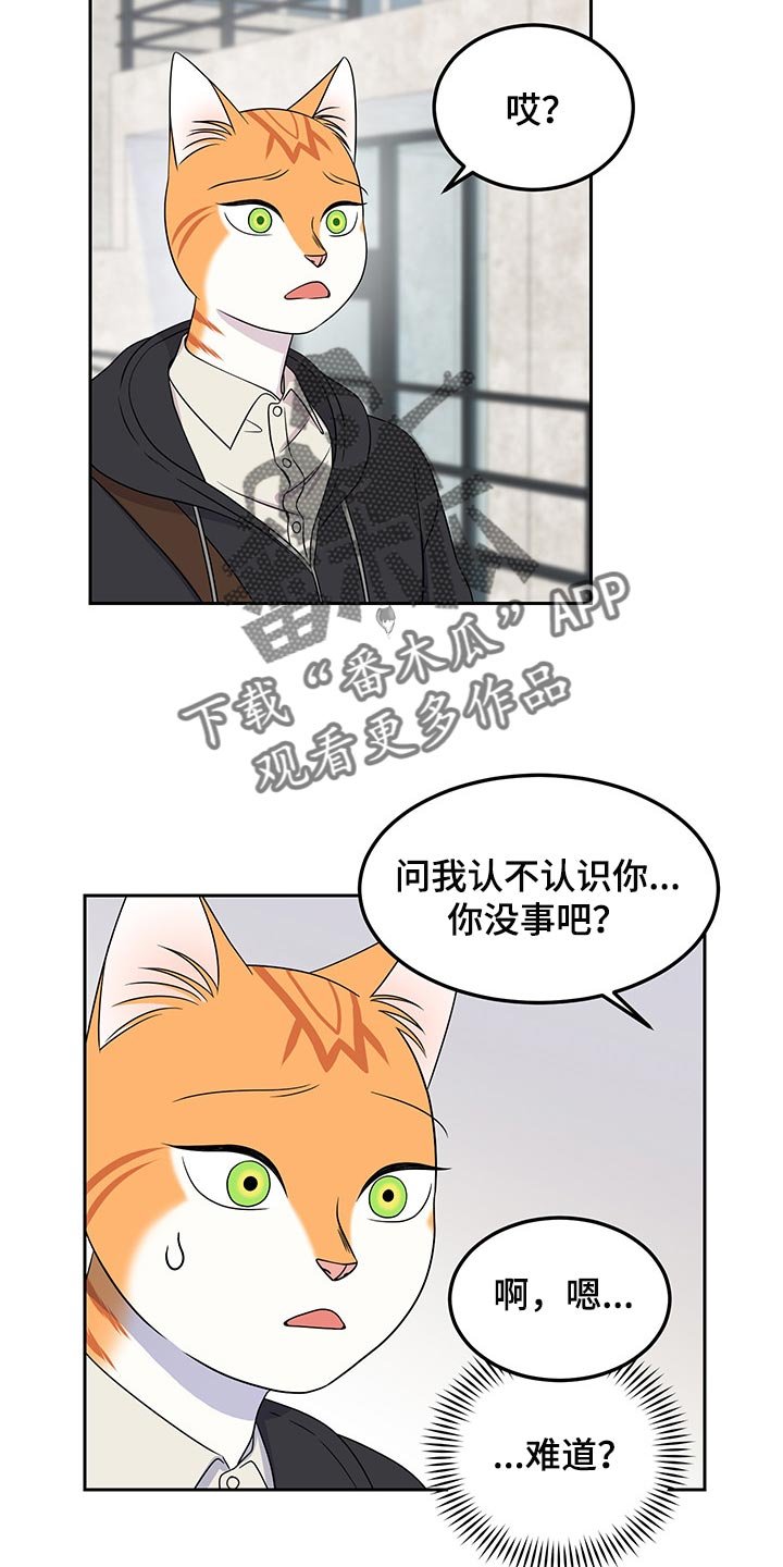 第42章：世道不太平