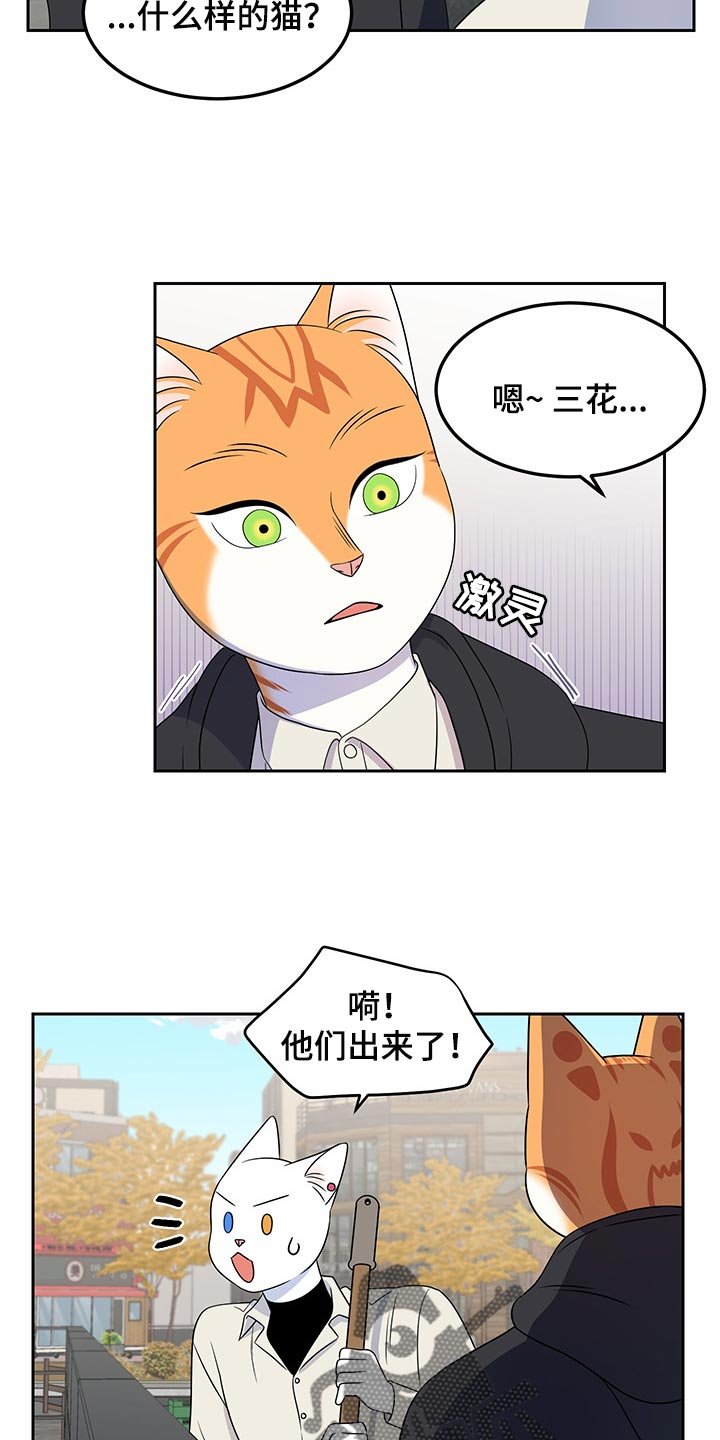 第42章：世道不太平