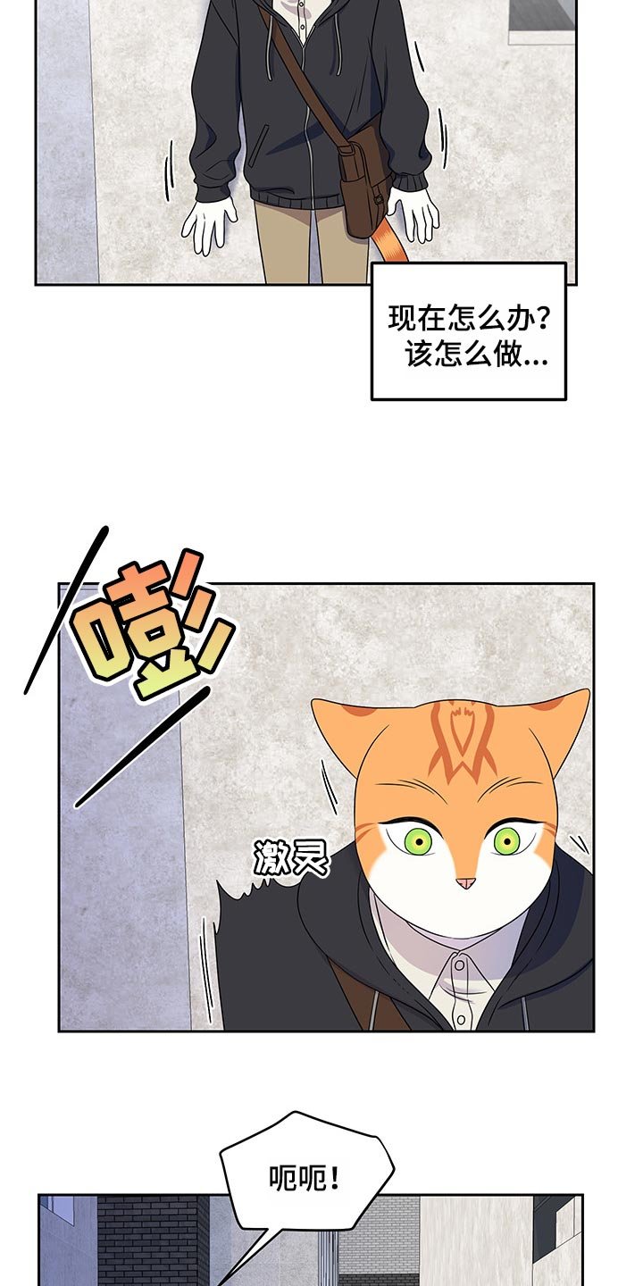 第42章：世道不太平