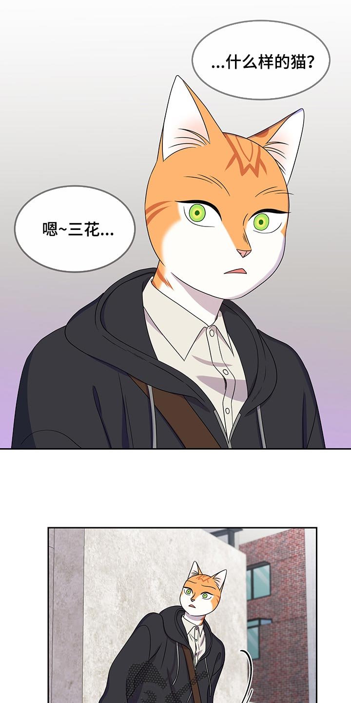 第42章：世道不太平