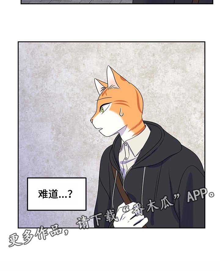 第42章：世道不太平