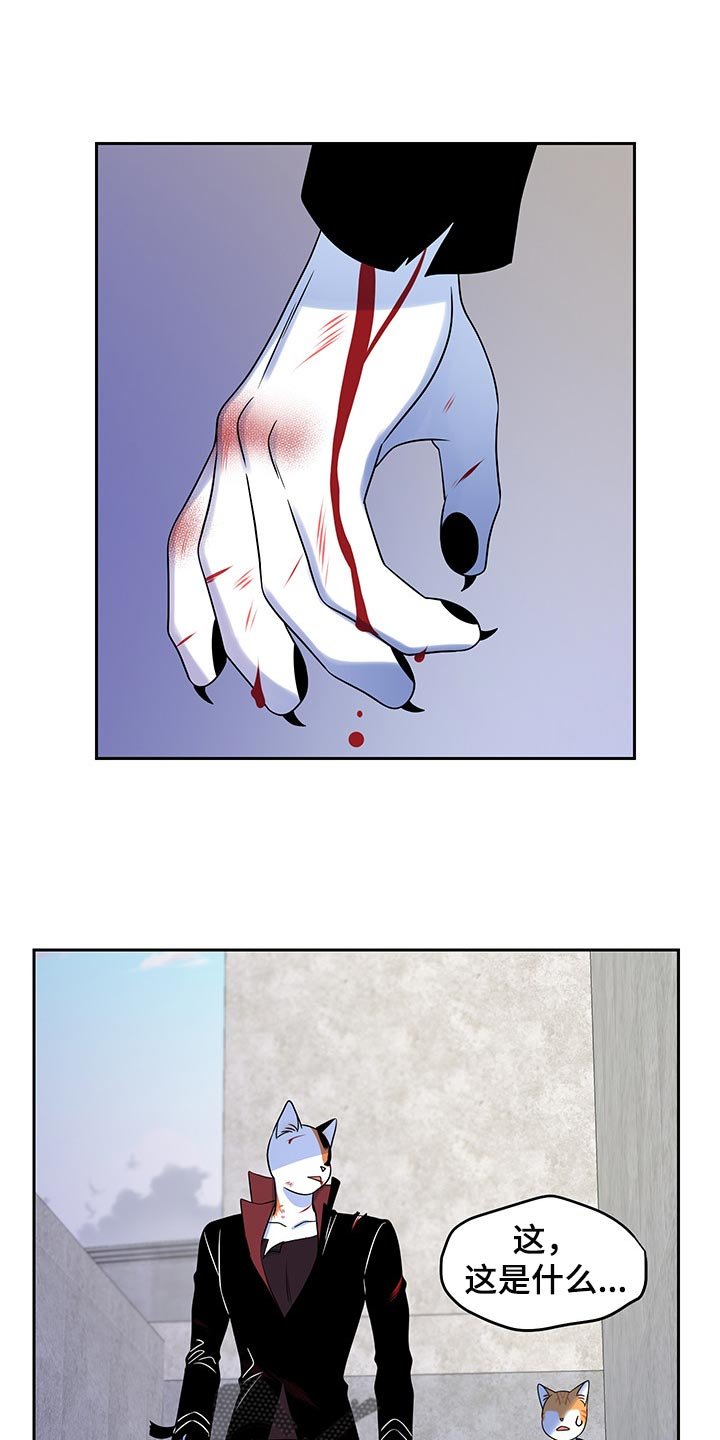 第43章：我们回家吧