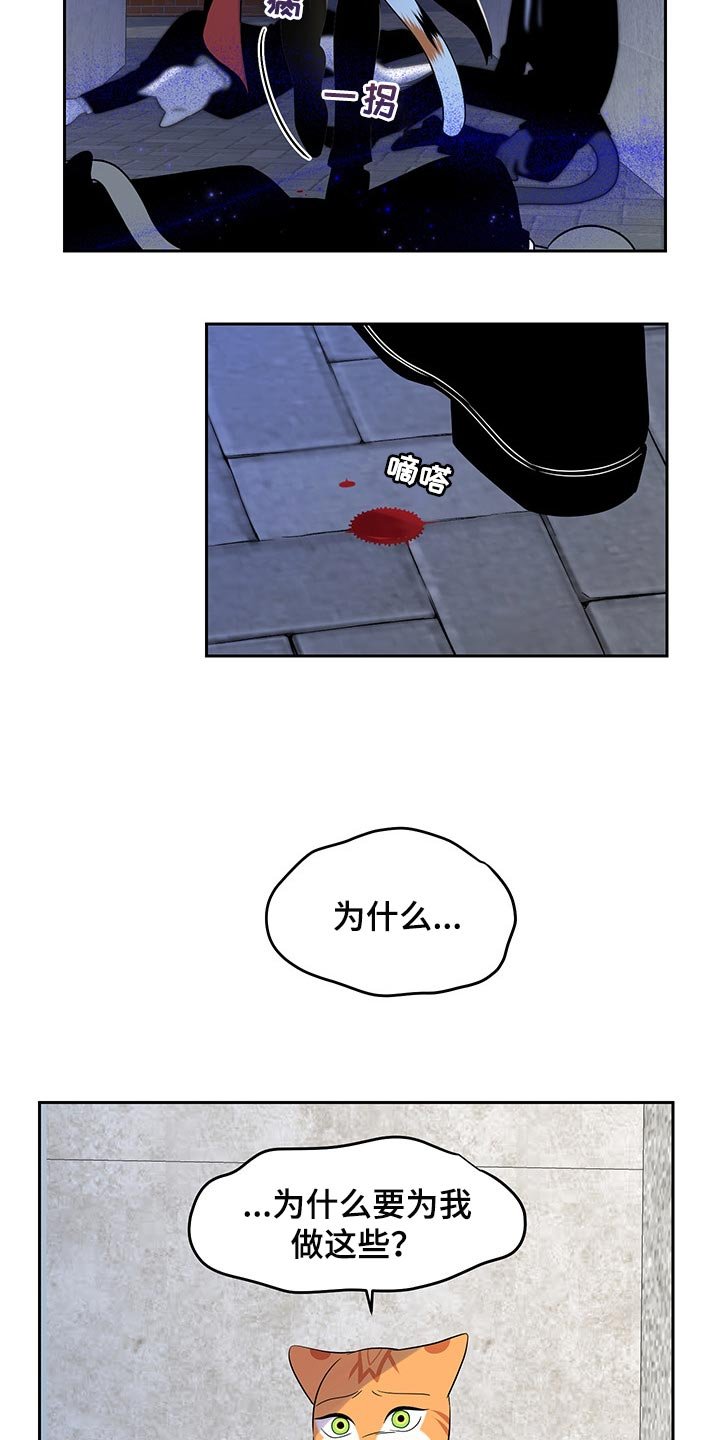 第43章：我们回家吧