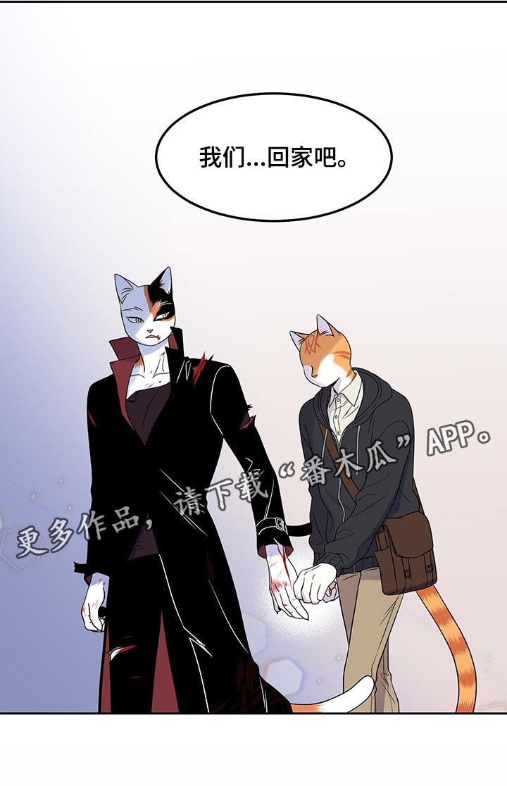 第43章：我们回家吧