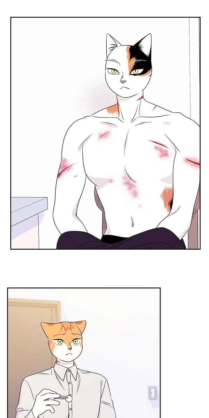 第44章：别哭
