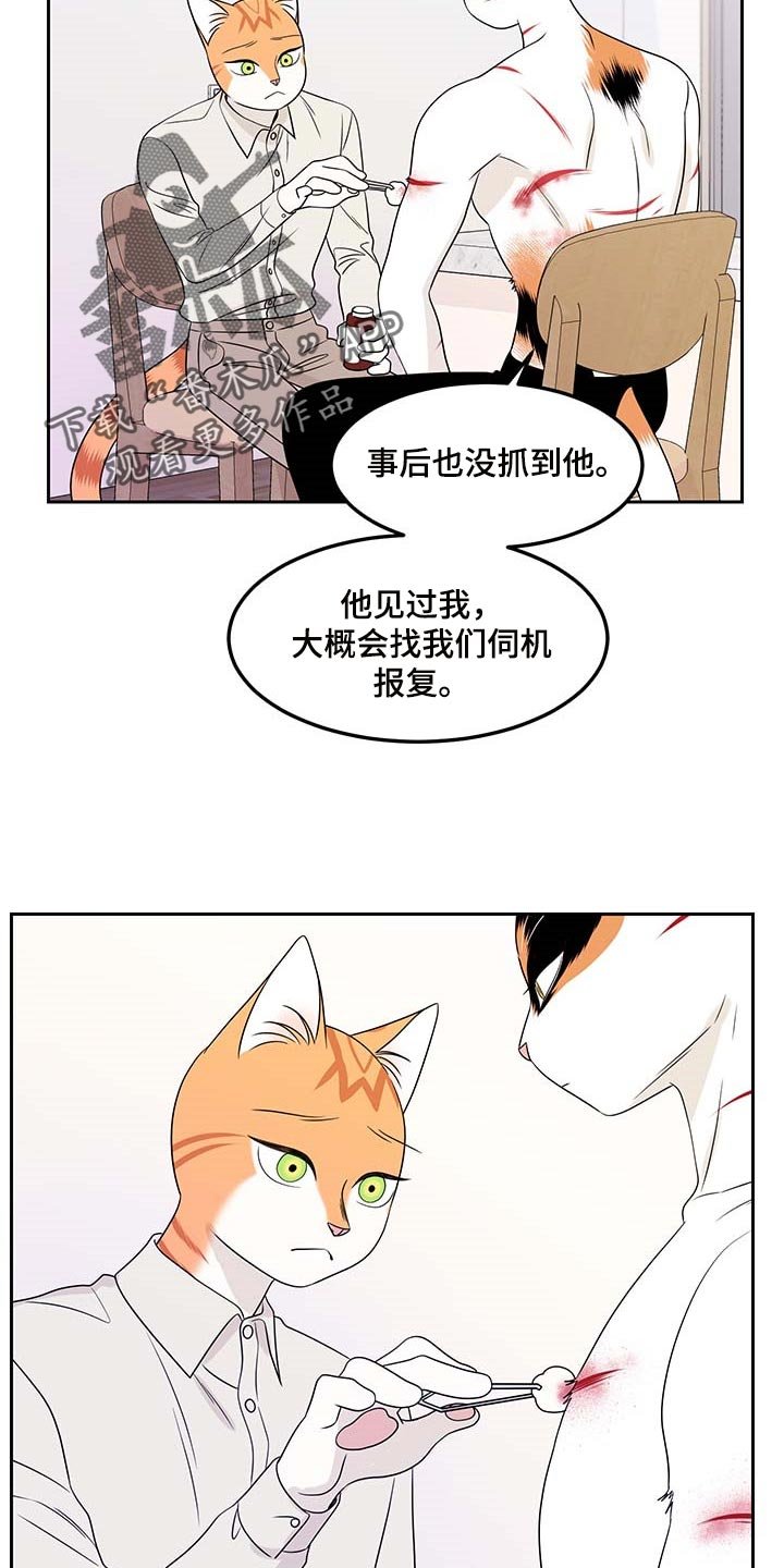 第44章：别哭