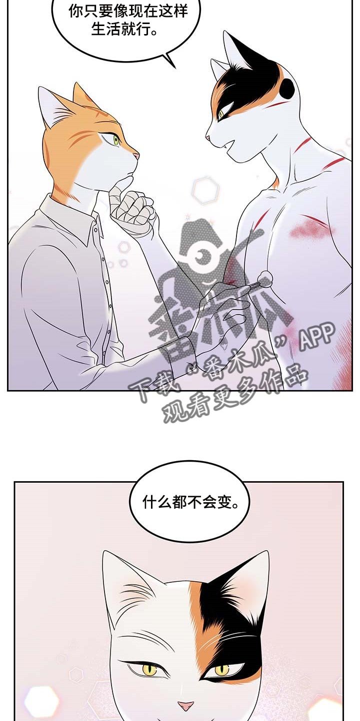 第44章：别哭
