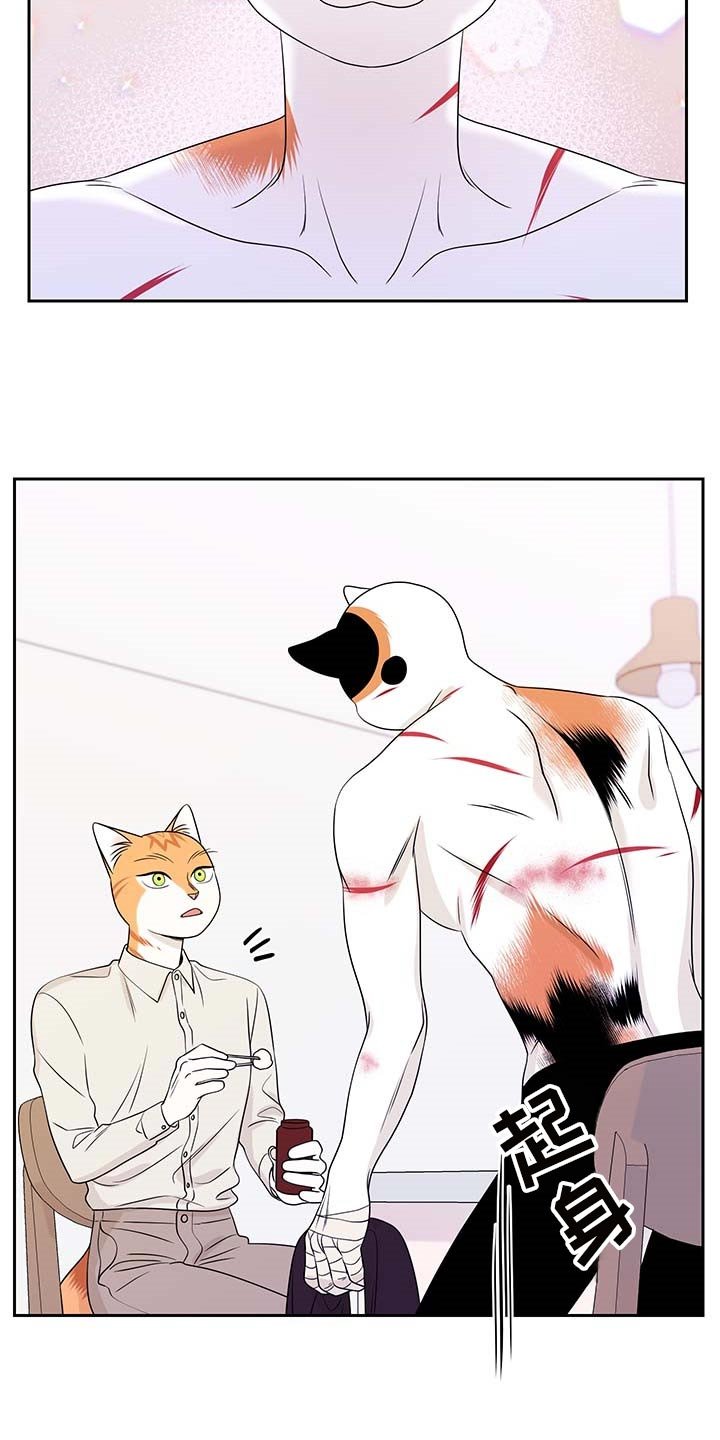 第44章：别哭