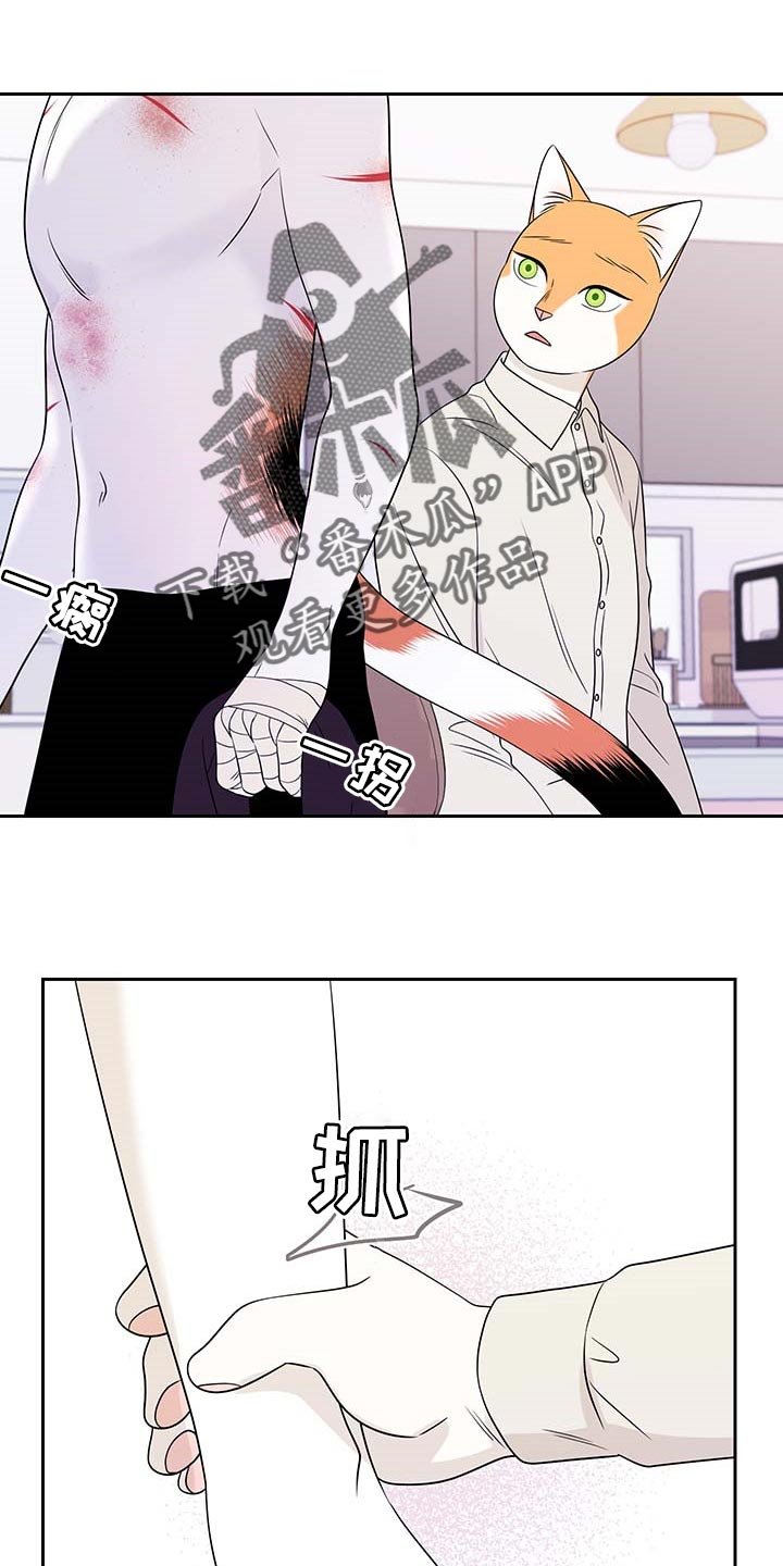 第44章：别哭