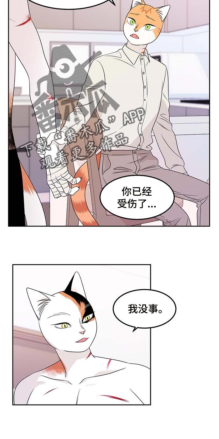 第44章：别哭