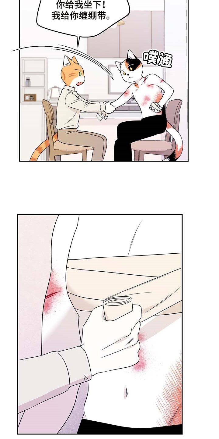 第44章：别哭