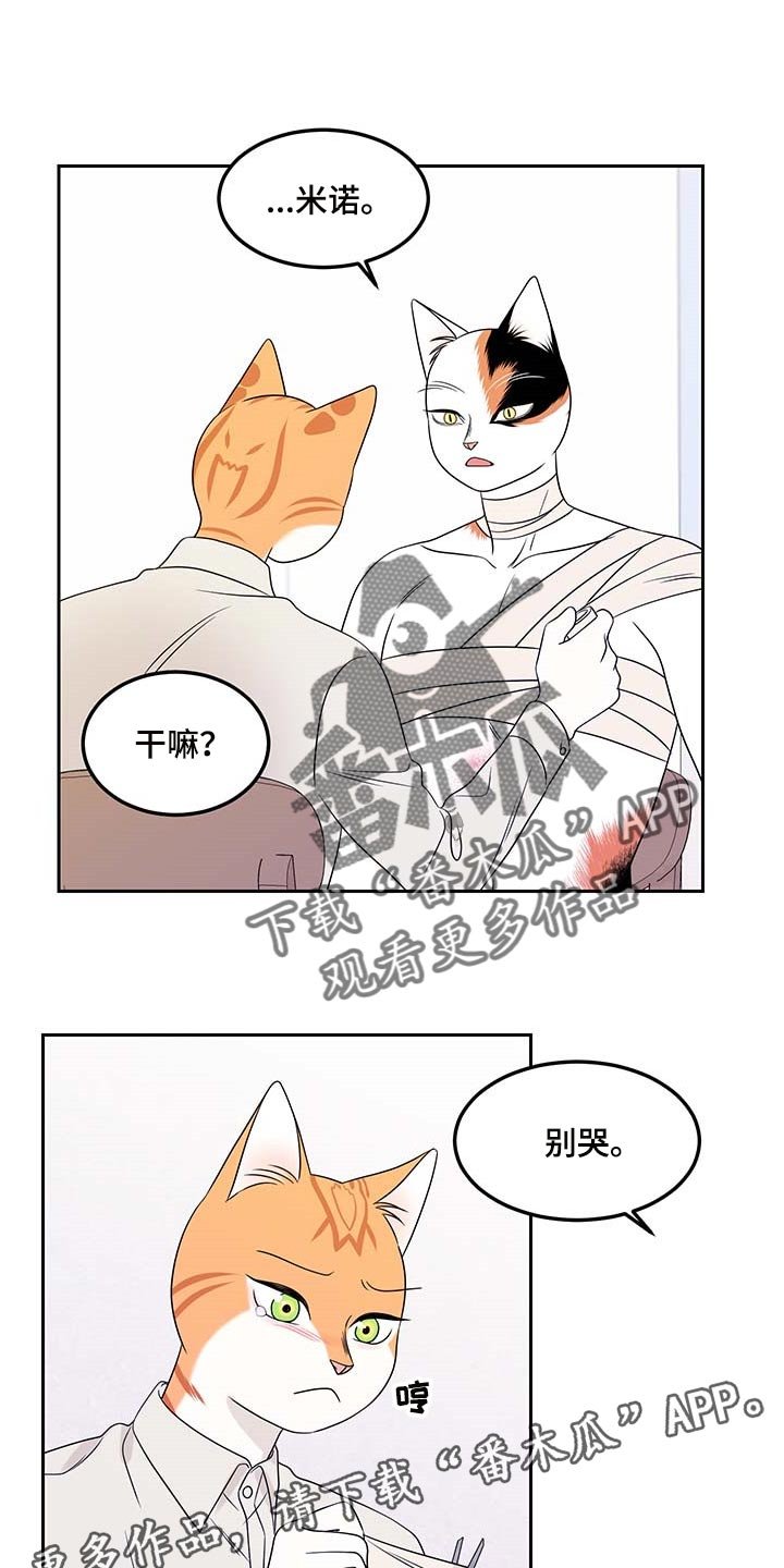 第44章：别哭