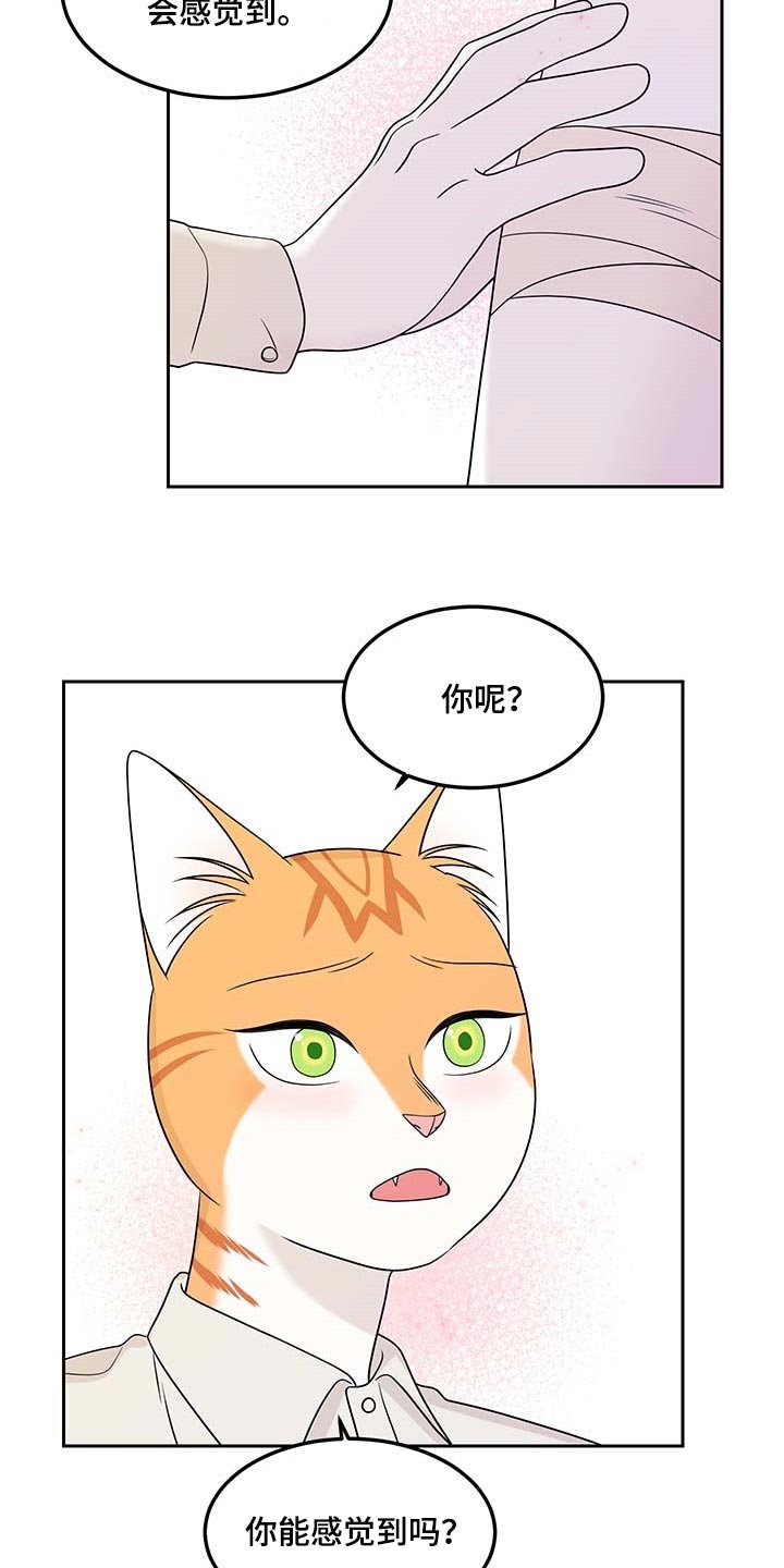 第45章：征服