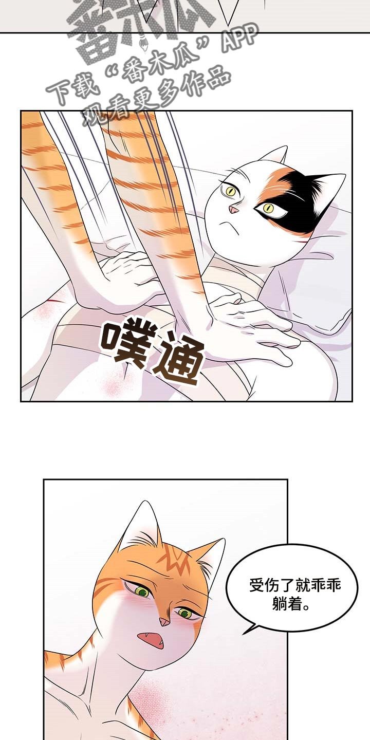 第45章：征服
