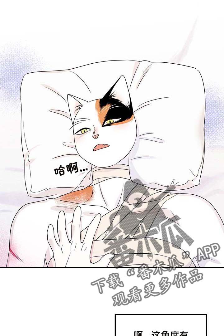第45章：征服