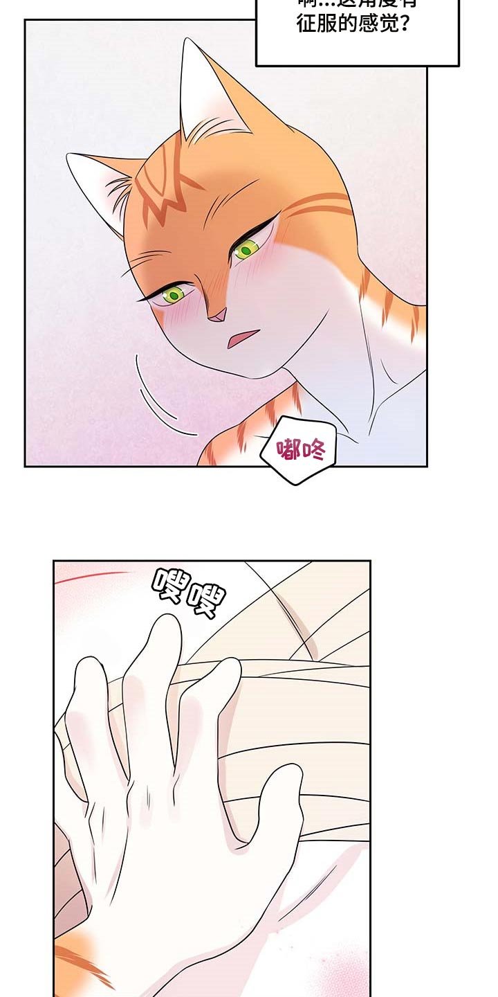 第45章：征服