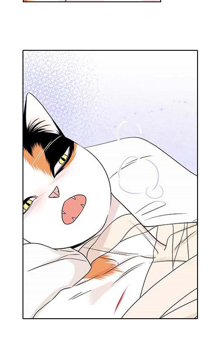 第45章：征服