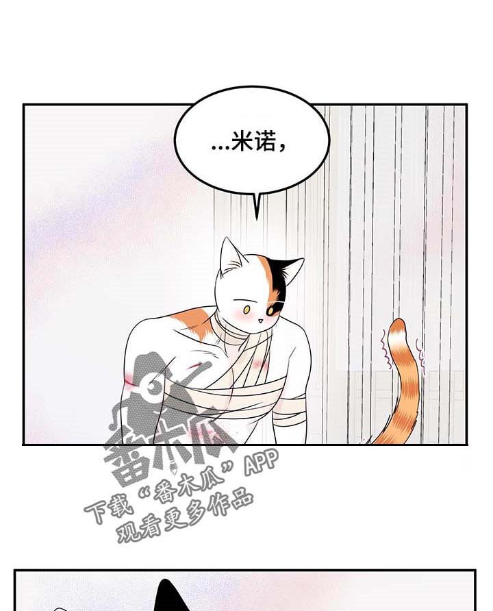 第46章：好好看着你