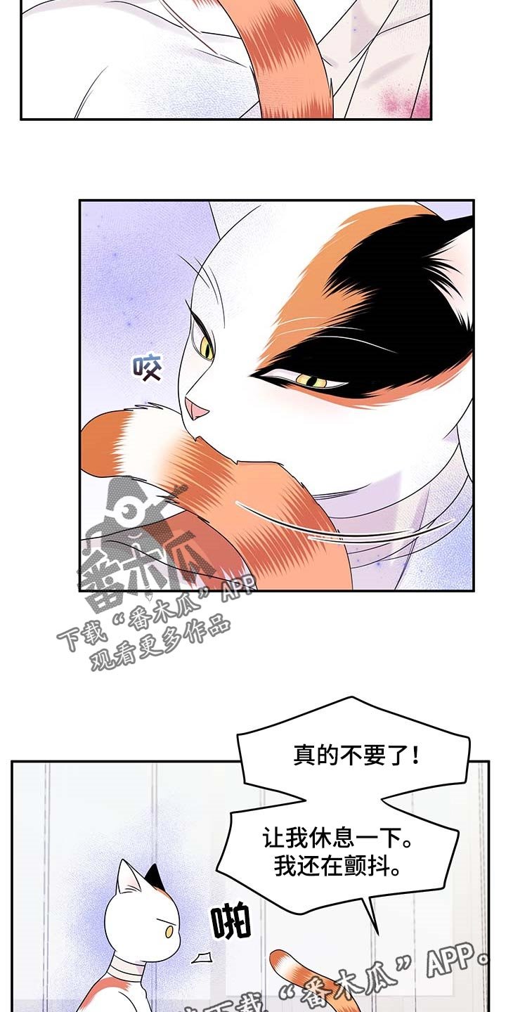 第46章：好好看着你