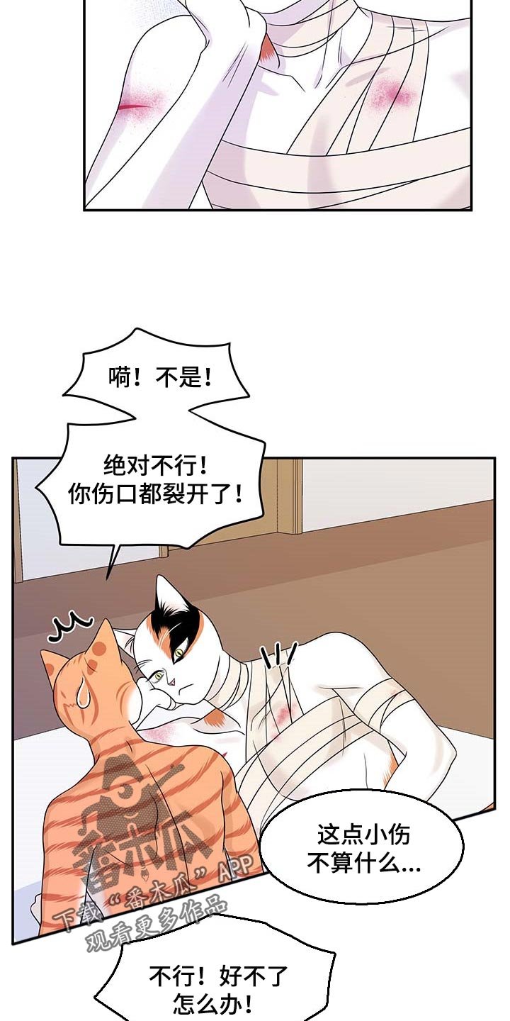 第46章：好好看着你