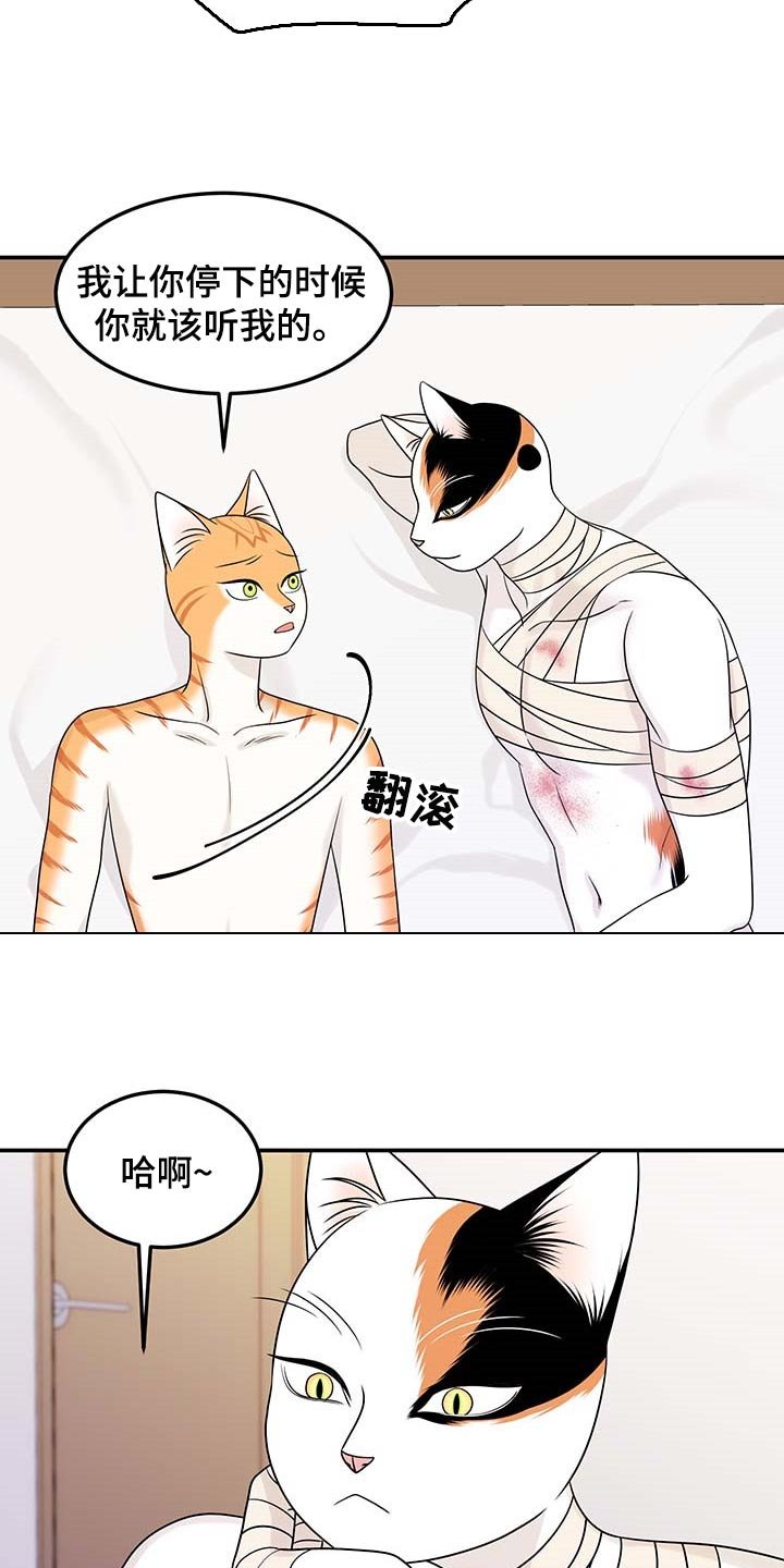 第46章：好好看着你