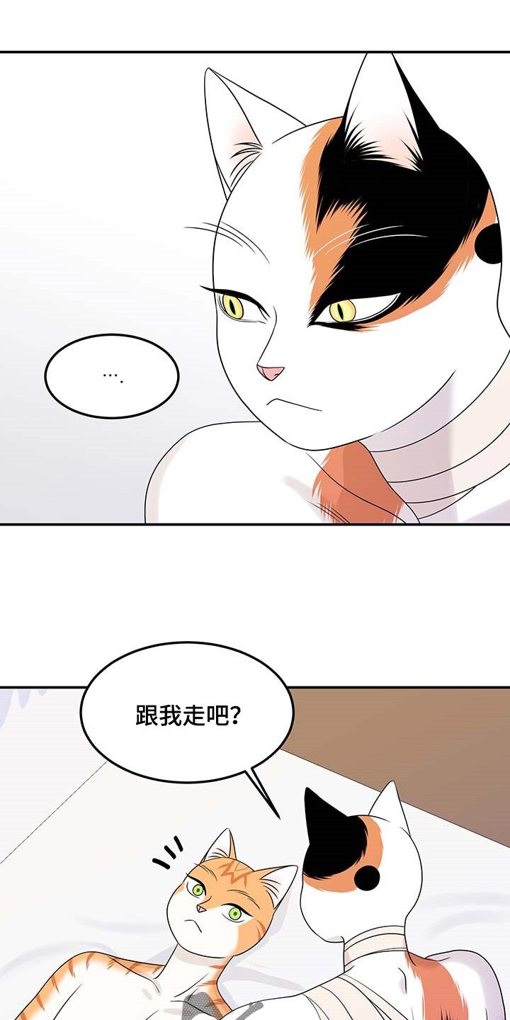 第47章：你慢慢考虑