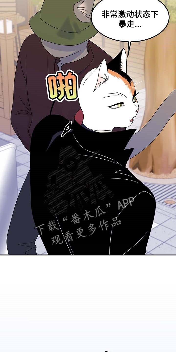 第47章：你慢慢考虑