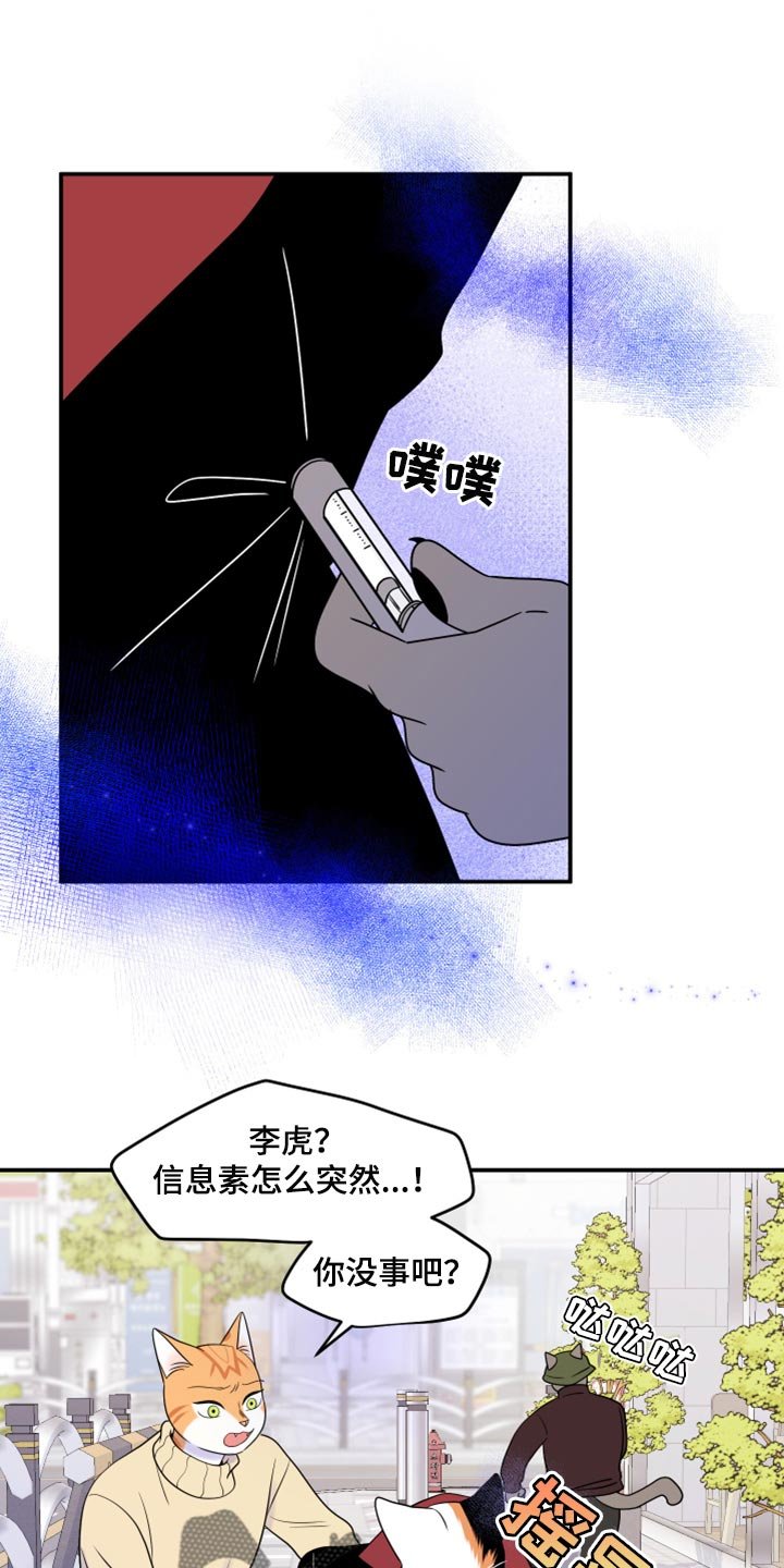 第48章：让我保护你