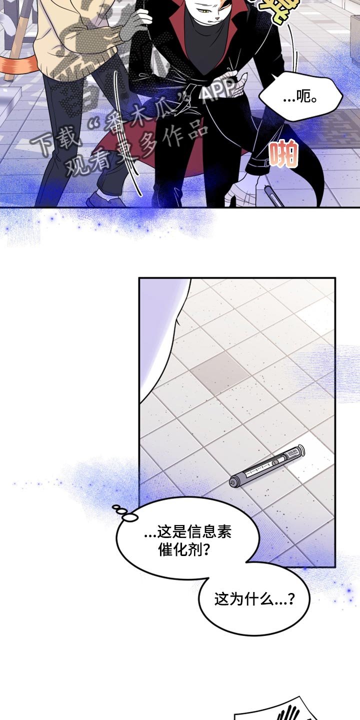 第48章：让我保护你