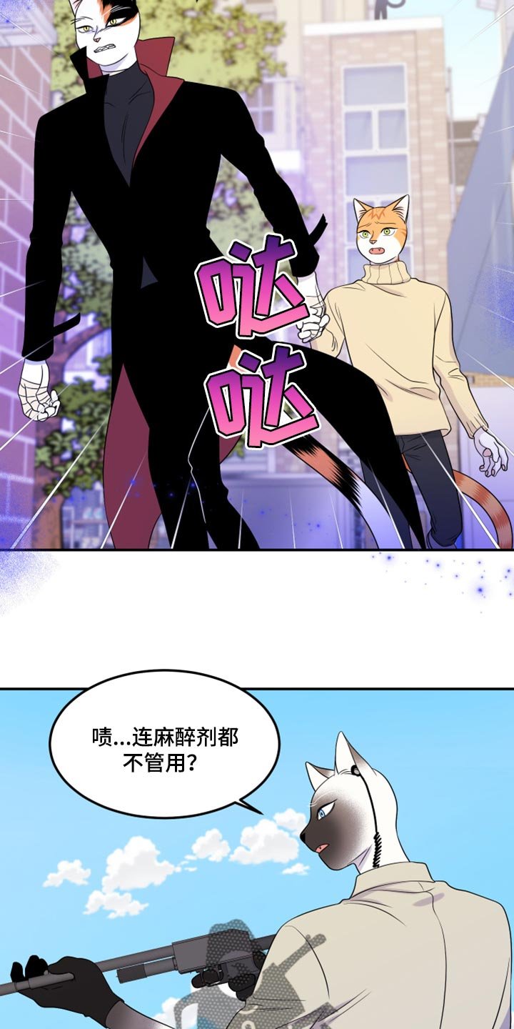 第48章：让我保护你