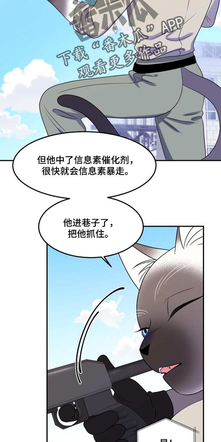 第48章：让我保护你