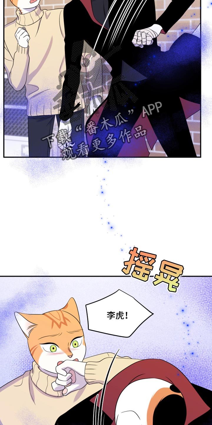 第48章：让我保护你