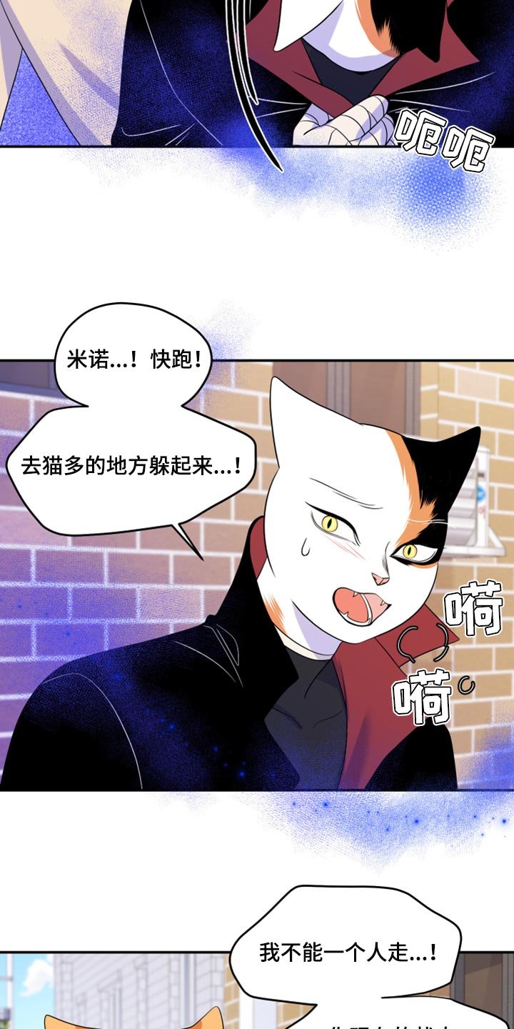 第48章：让我保护你