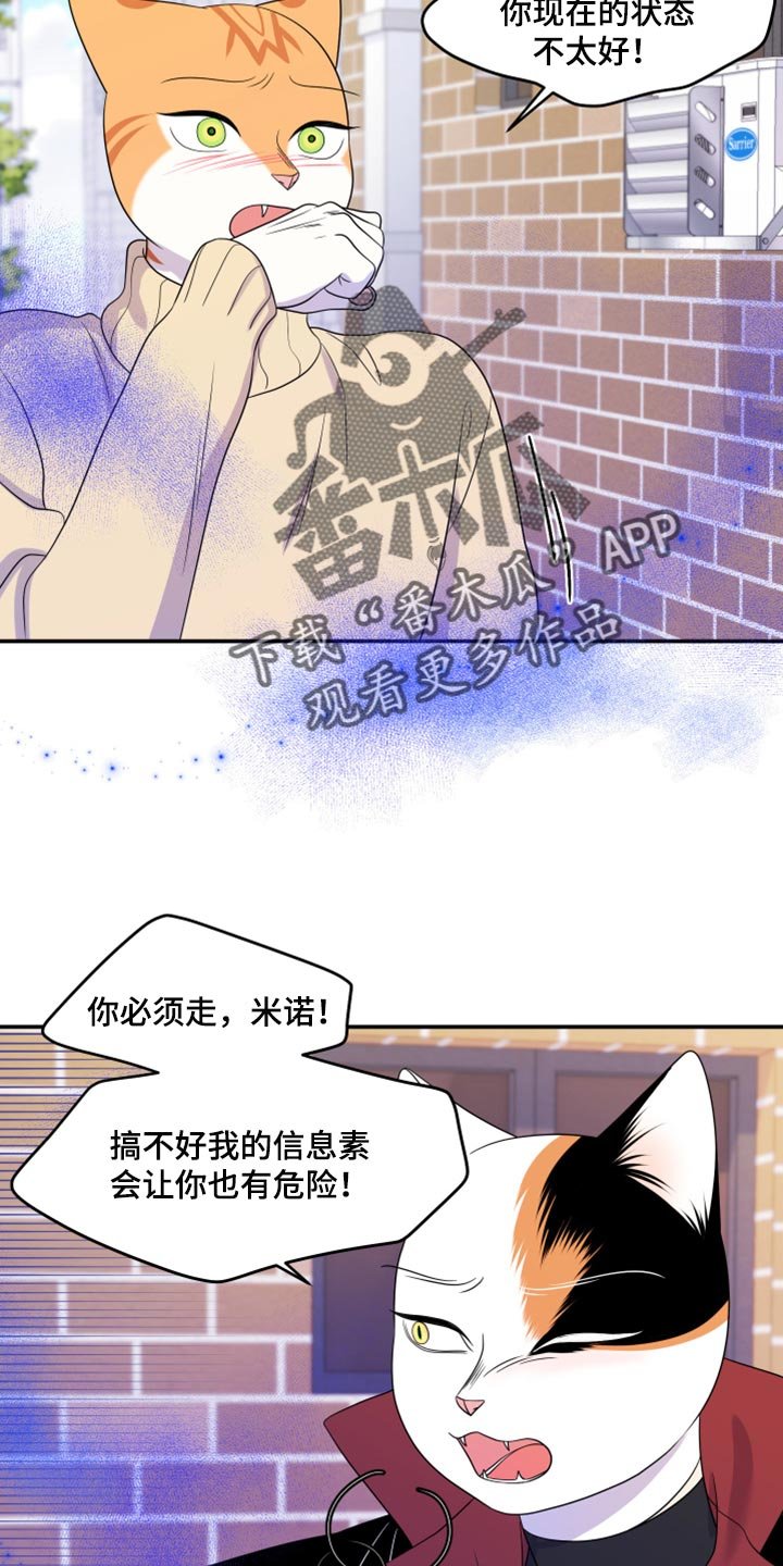 第48章：让我保护你